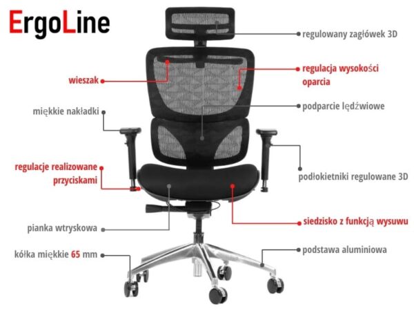 ENS1A-F-M-H-PL.jpg ENS1A-F-M-H-PL.jpg