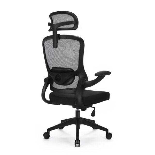 LV06525.jpg LV06525.jpg