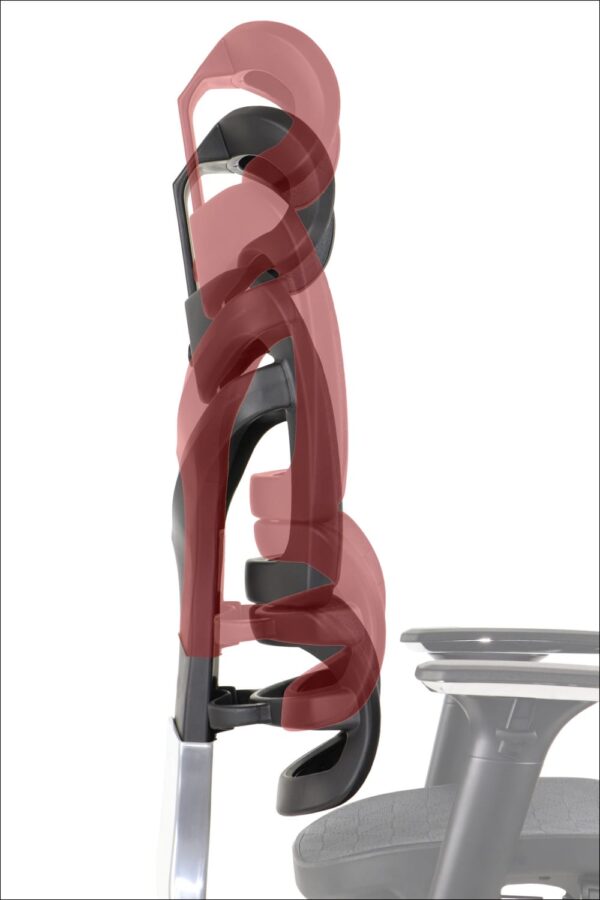 back2-2.jpg back2-2.jpg