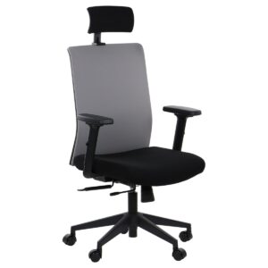 Fotel ergonomiczny Riverton