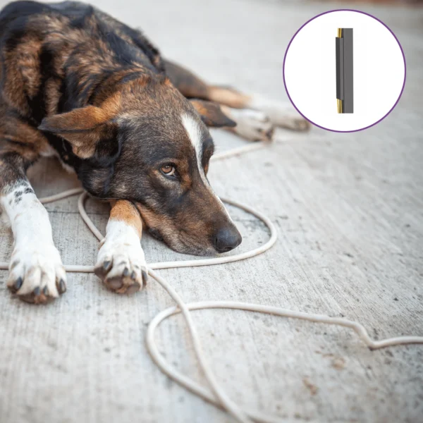 magnetyczny-organizer-kabli_237010.webp magnetyczny-organizer-kabli_237010.webp