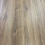 dab traviata zdjecie z magazynu