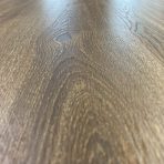 dab traviata zdjecie z magazynu