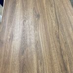 dab traviata zdjecie z magazynu